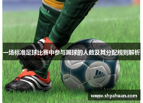 一场标准足球比赛中参与踢球的人数及其分配规则解析